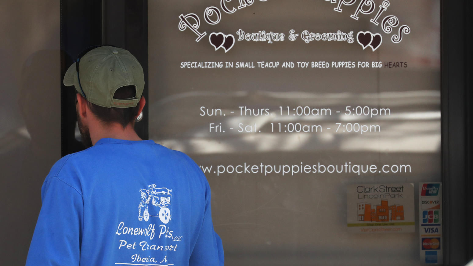 Pocket Puppies